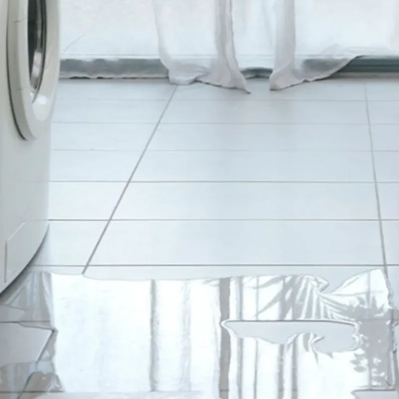 Appliance Leak Cleanup in Franklin Park, IL