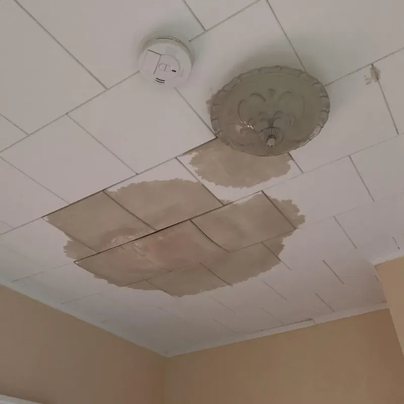 Ceiling Water Damage Repair in Franklin Park, IL