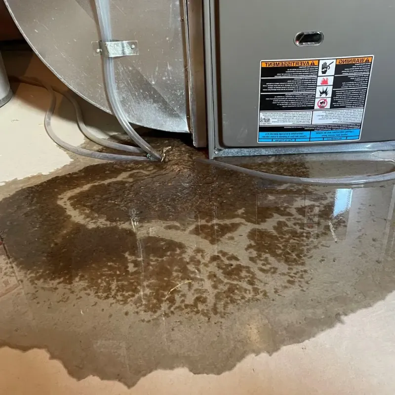 Pipe Burst and Leak Restoration in Franklin Park, IL