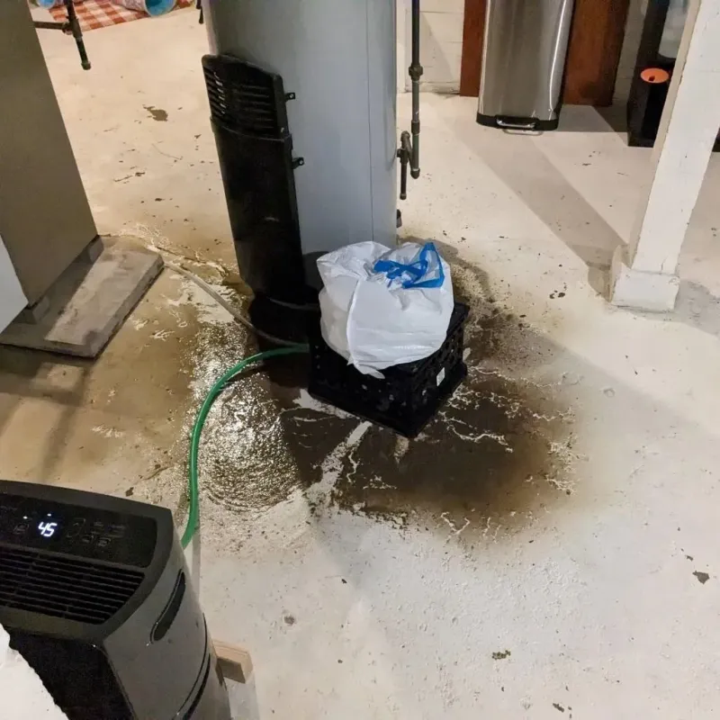 Sewage Backup Cleanup Service in Franklin Park, IL